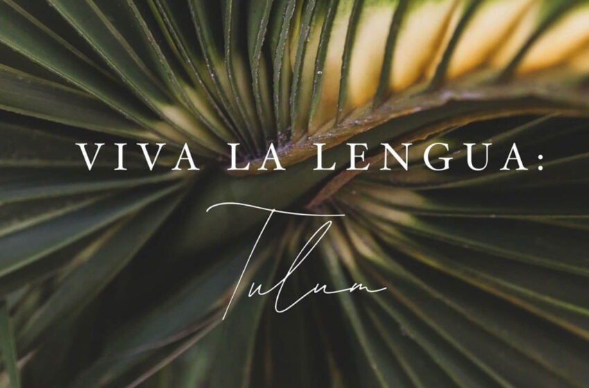  Around the World with Viva La Lengua: Curated Travel to Embrace the Culture